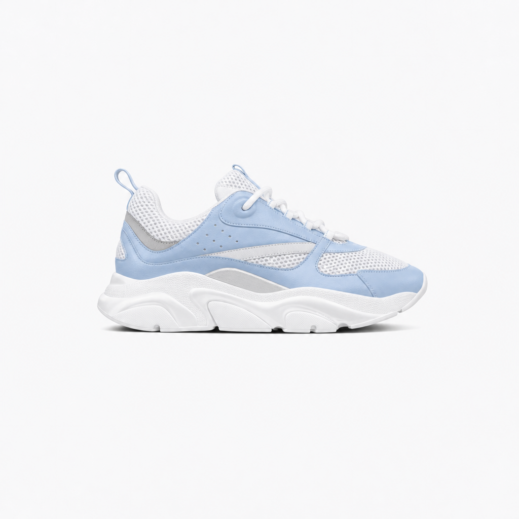 White / Blue sneaker, pair